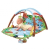 Tapis D'éveil Gymini Developlace Tiny Love